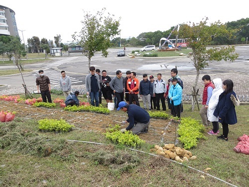 電資學院 (E十E=∞) 植栽圖片