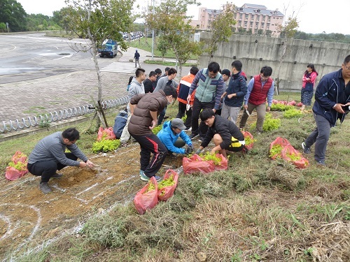 電資學院 (E十E=∞) 植栽圖片